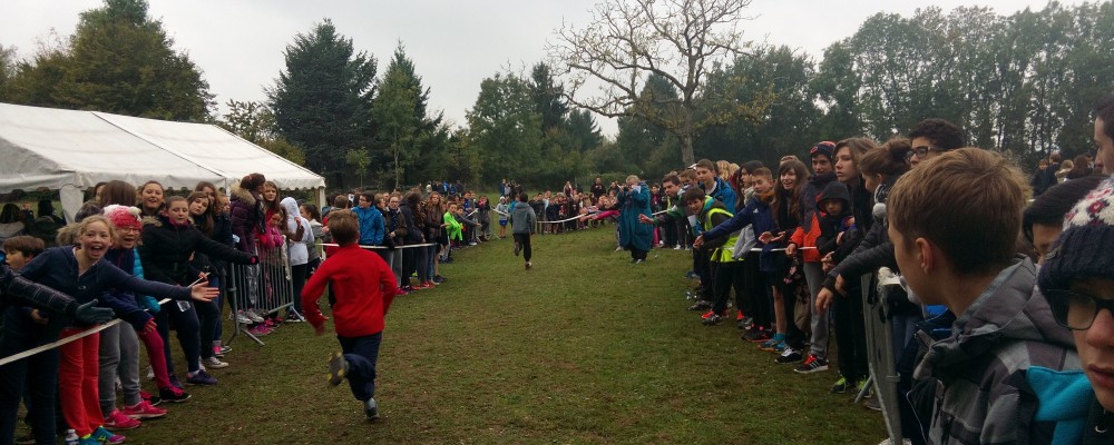 Cross st bruno 2