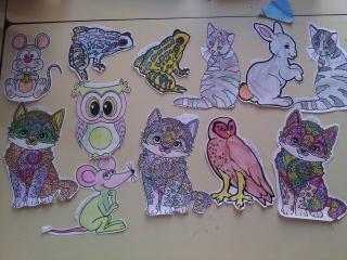 Img 20190628 1042351