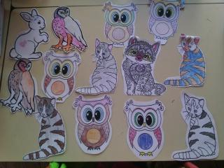 Img 20190628 1043591