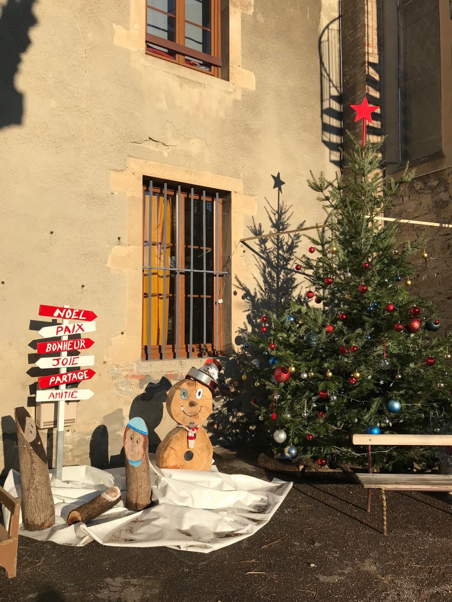 Le sapin éclairé par le soleil